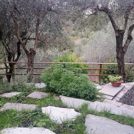 Nonna Paola Guest House Leivi Dış mekan fotoğraf