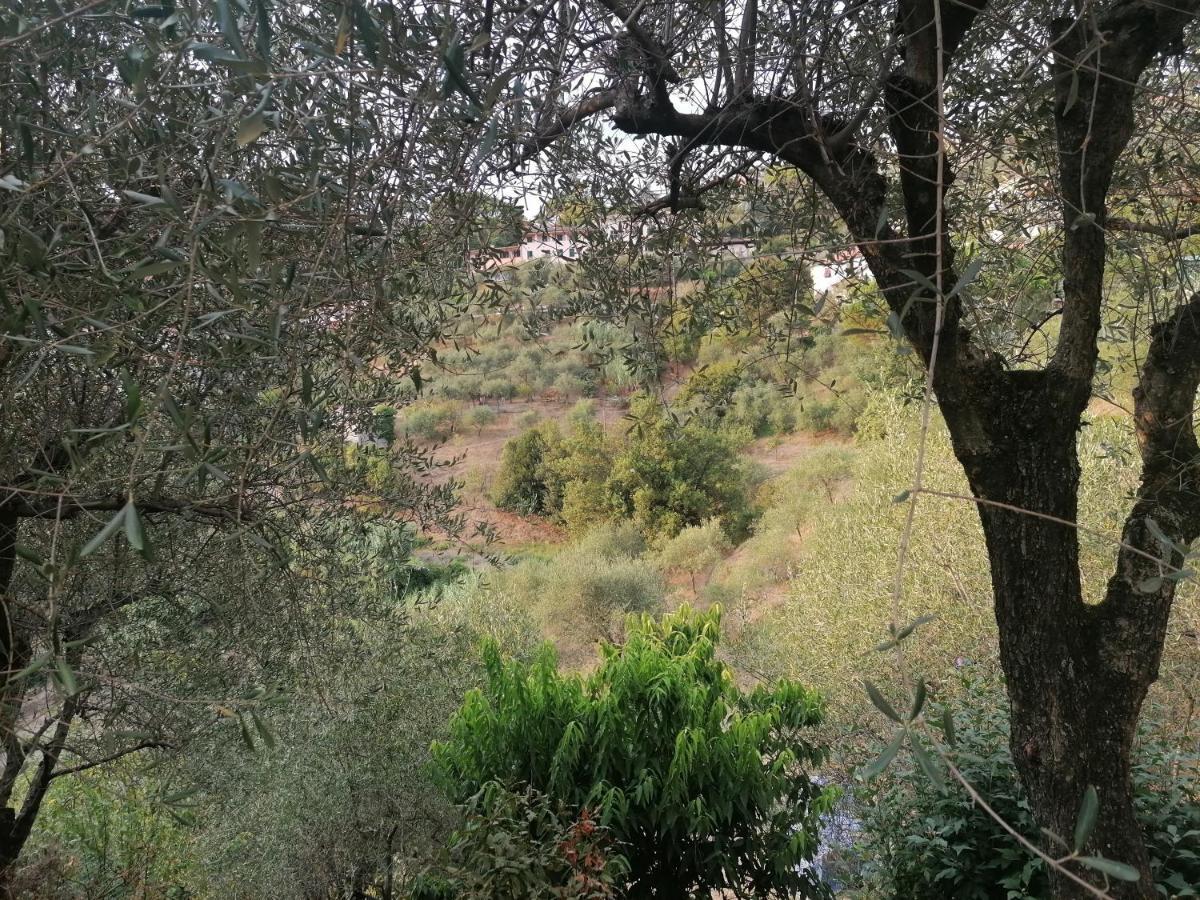 Nonna Paola Guest House Leivi Dış mekan fotoğraf