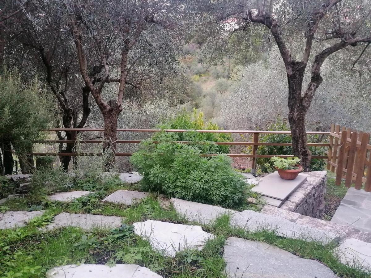 Nonna Paola Guest House Leivi Dış mekan fotoğraf